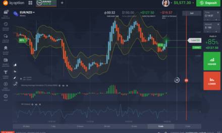 From Novice to Pro: Mastering IQ Option’s Trading Strategies